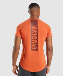 Gymshark Clothing South Africa - Gymshark Bold T-Shirt Clay Orange Men 6464T4695