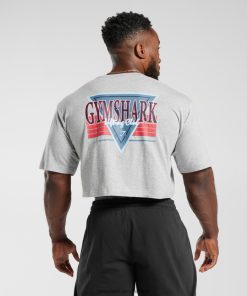 Gymshark Sale South Africa - Gymshark Retrowave Crop T-Shirt Light Grey Core Marl Men 6464T4588
