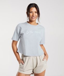 Zapatillas Gymshark - Gymshark Embroidered Graphic Midi T-Shirt River Stone Grey Women 6464T4486